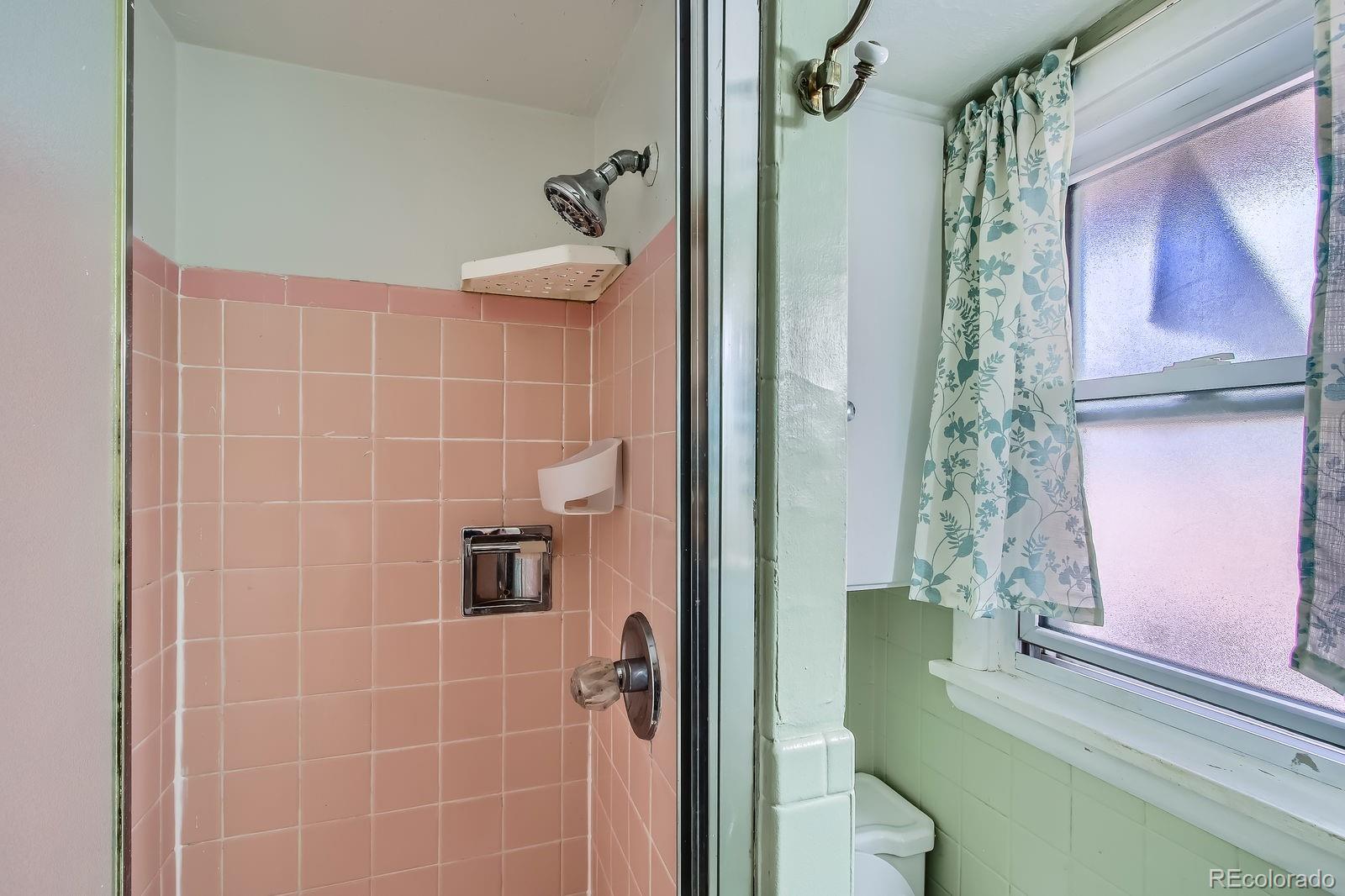 MLS Image #12 for 273 s 13th avenue,brighton, Colorado