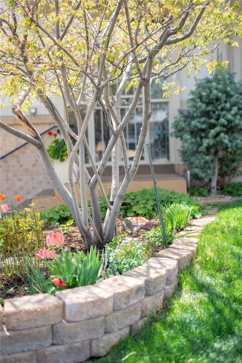 MLS Image #3 for 12662 w asbury place,lakewood, Colorado