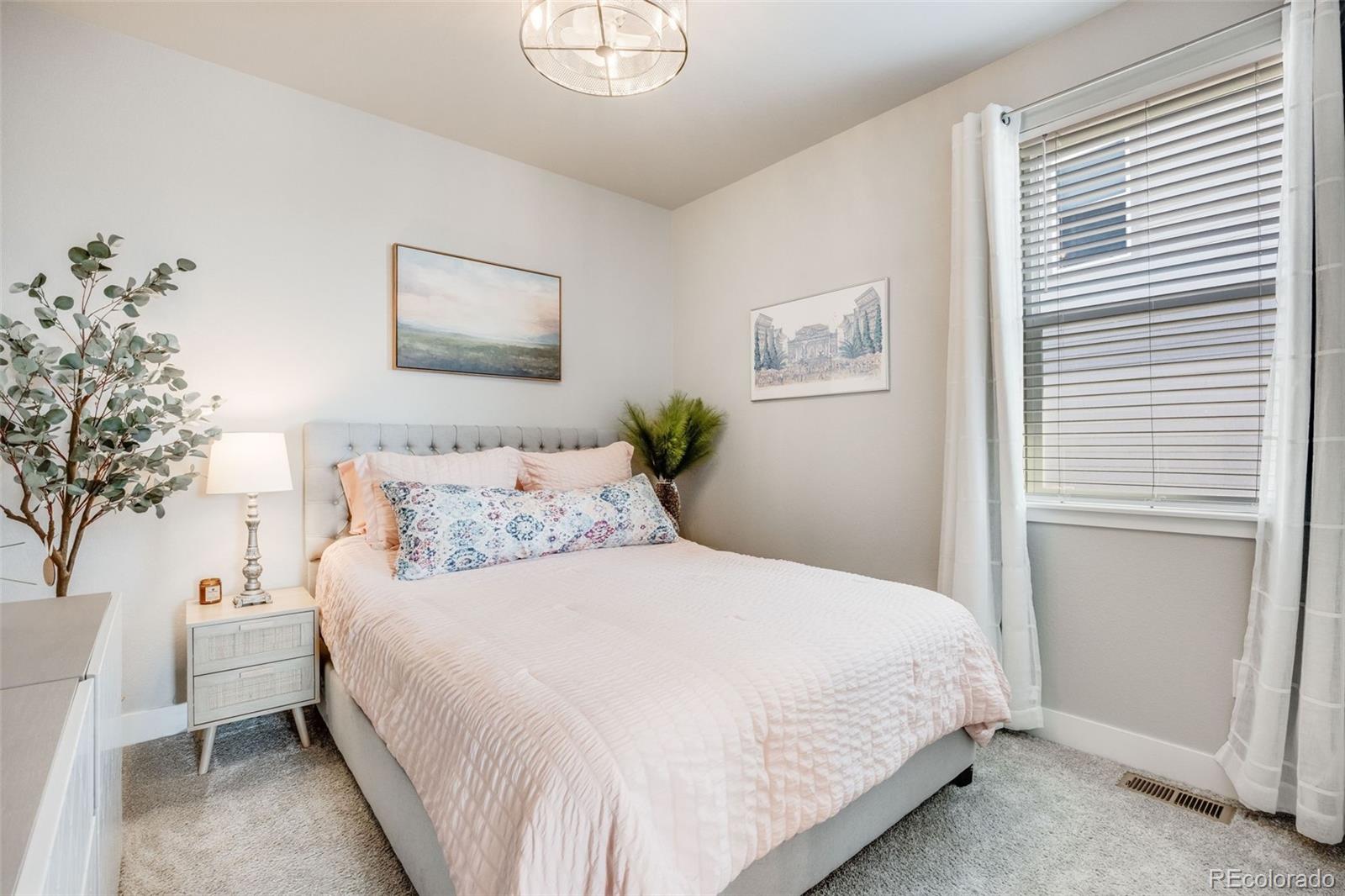 MLS Image #14 for 13437  waterthrush street,parker, Colorado