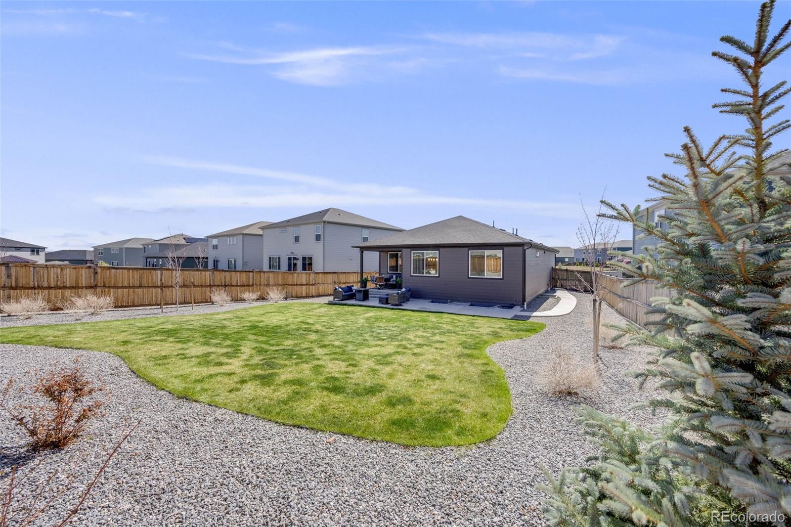 MLS Image #18 for 13437  waterthrush street,parker, Colorado