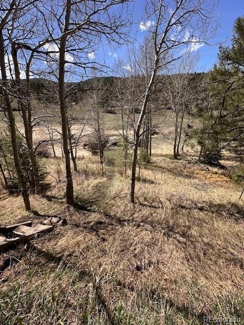 MLS Image #40 for 7510  blue creek road,evergreen, Colorado