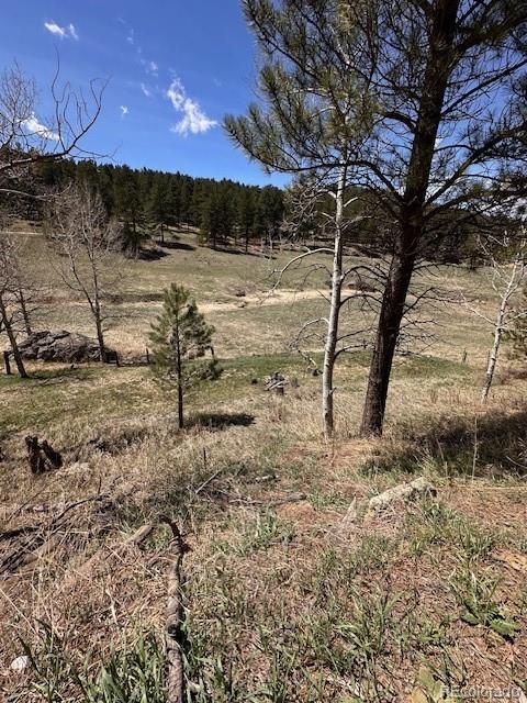 MLS Image #41 for 7510  blue creek road,evergreen, Colorado