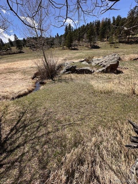 MLS Image #42 for 7510  blue creek road,evergreen, Colorado