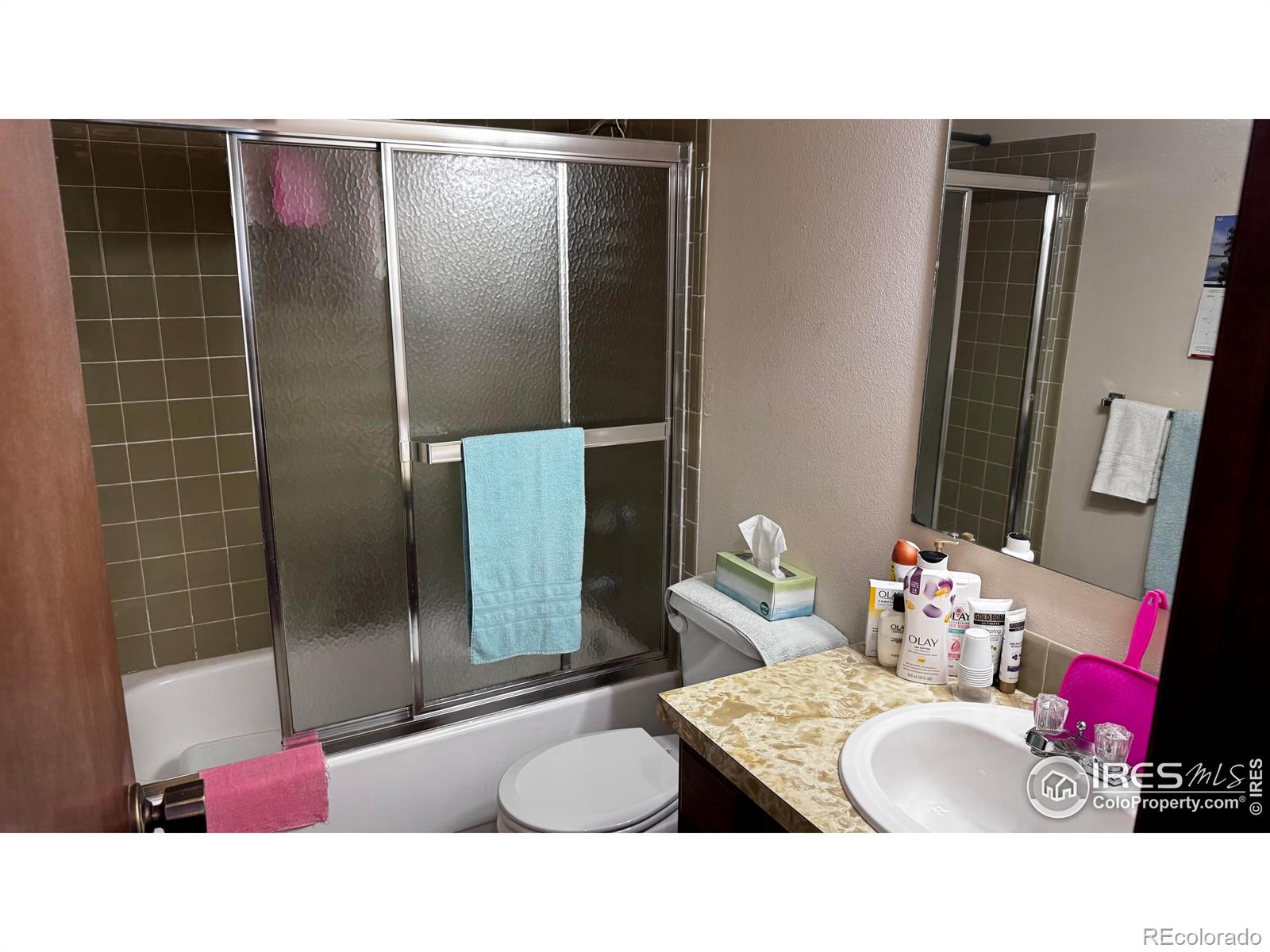 MLS Image #10 for 904  red fir place,loveland, Colorado
