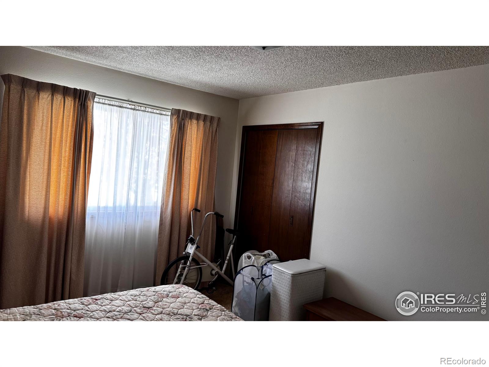MLS Image #11 for 904  red fir place,loveland, Colorado