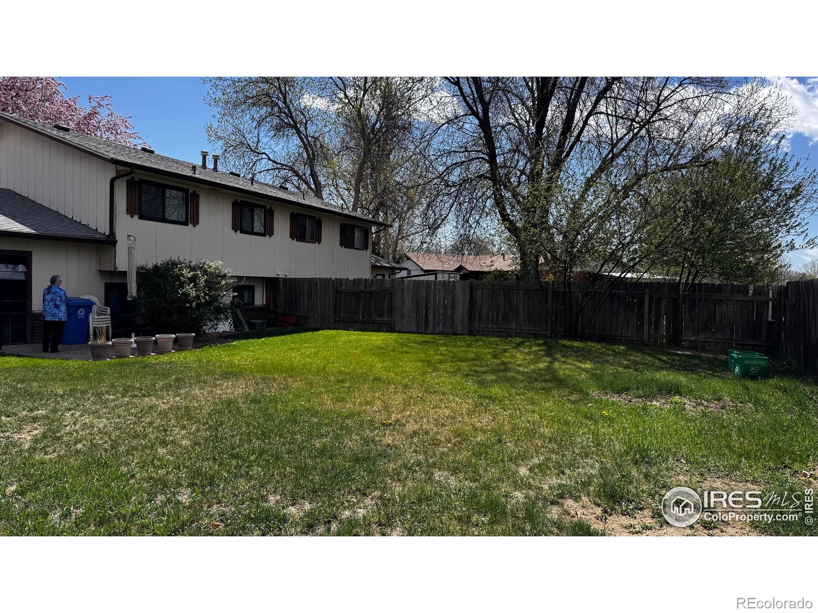 MLS Image #13 for 904  red fir place,loveland, Colorado