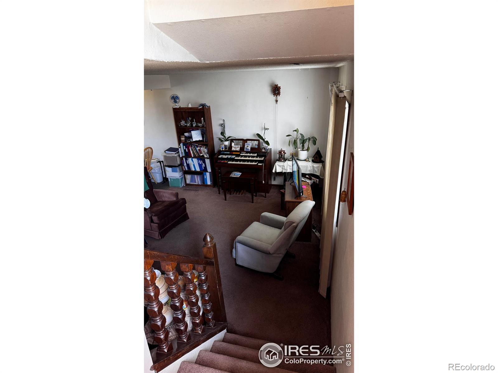 MLS Image #6 for 904  red fir place,loveland, Colorado