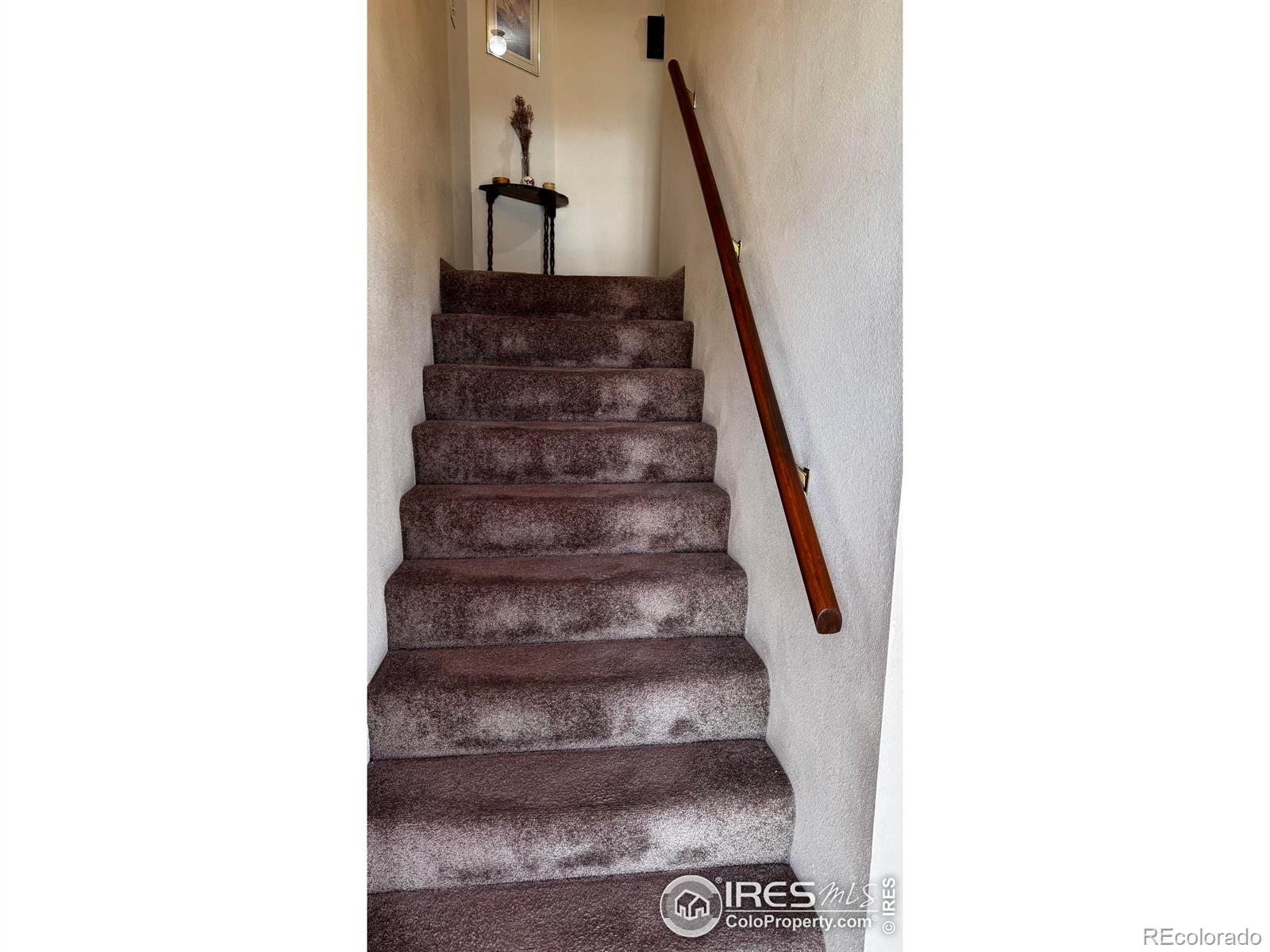 MLS Image #7 for 904  red fir place,loveland, Colorado