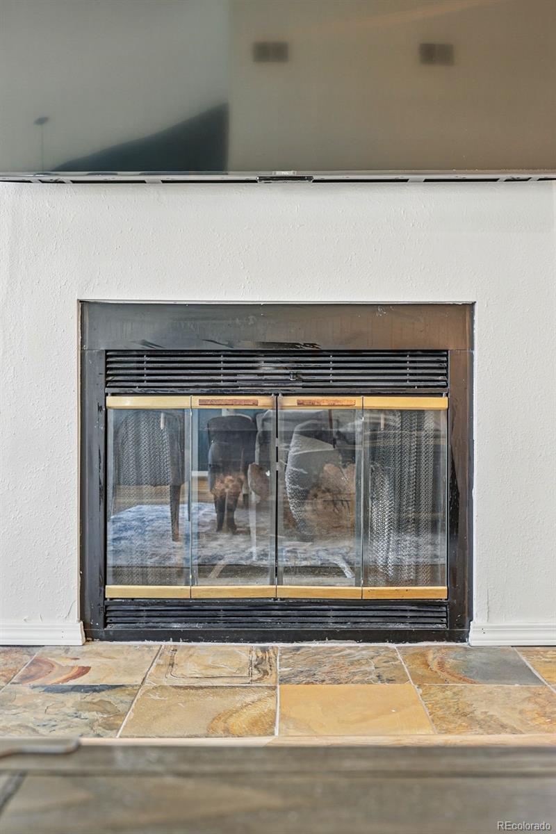 MLS Image #9 for 540 s forest street,denver, Colorado