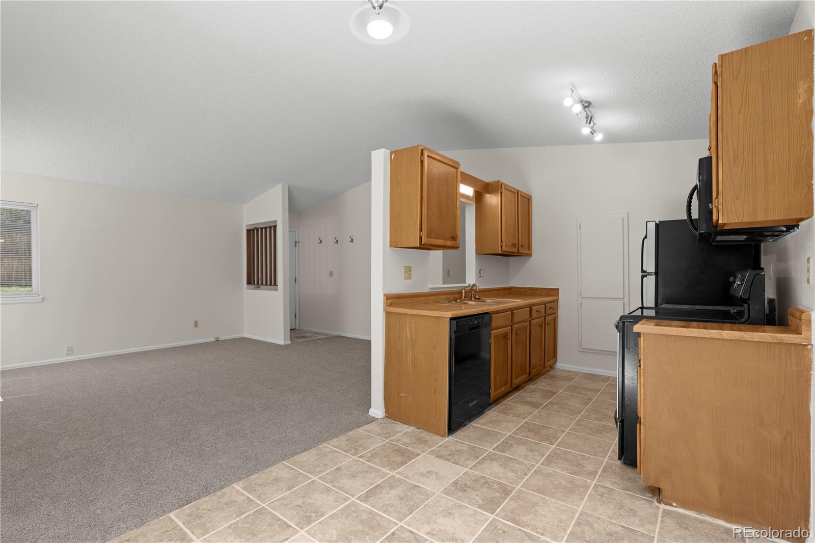 MLS Image #10 for 4521  castlepoint drive,colorado springs, Colorado
