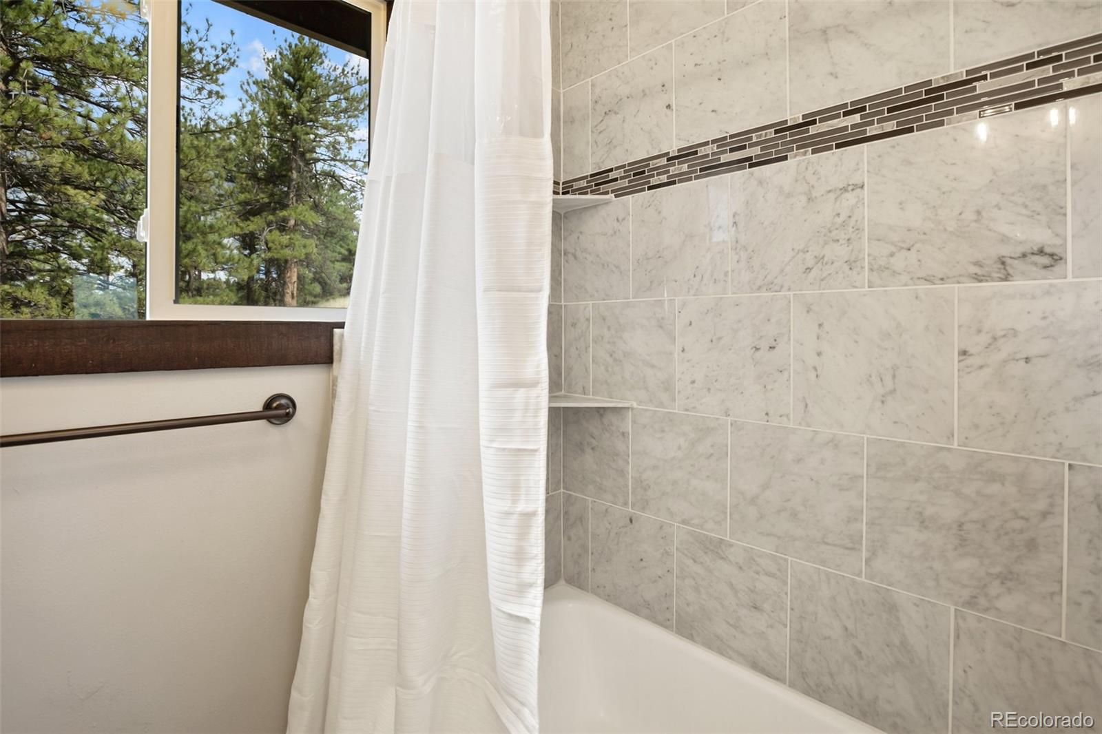 MLS Image #16 for 39609  us highway 24 ,lake george, Colorado