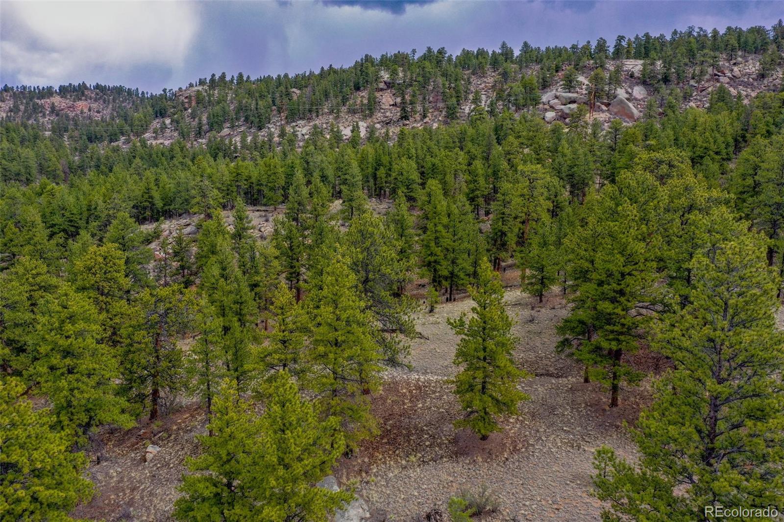 MLS Image #31 for 39609  us highway 24 ,lake george, Colorado