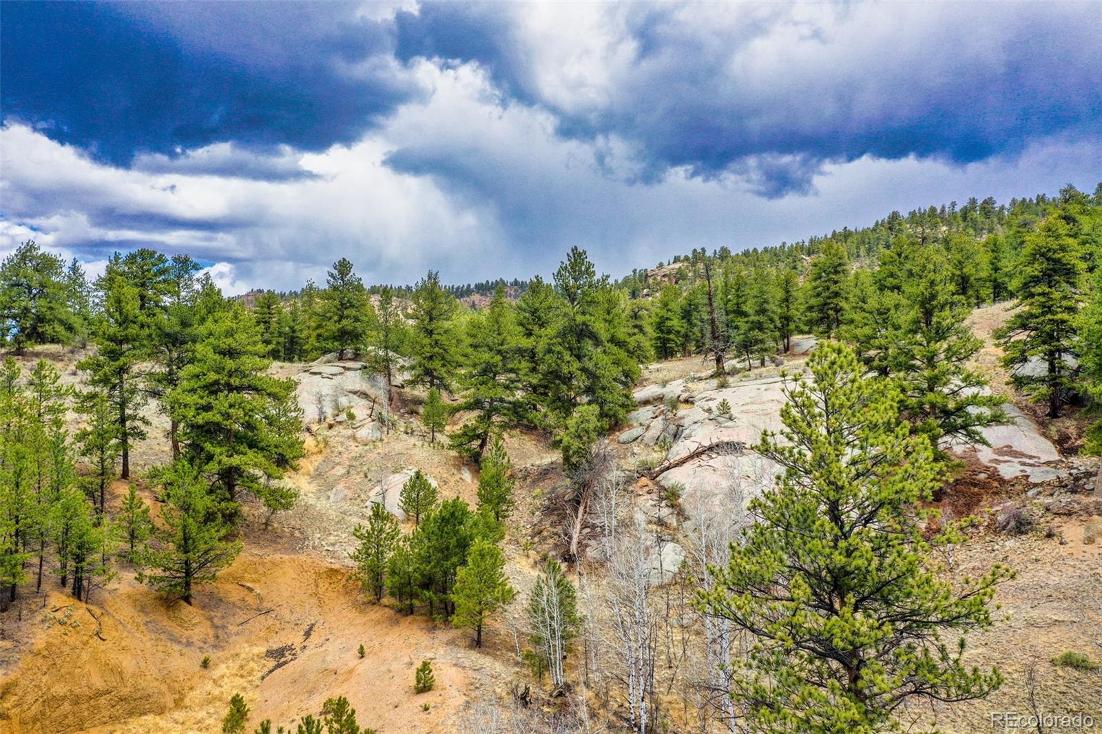 MLS Image #40 for 39609  us highway 24 ,lake george, Colorado