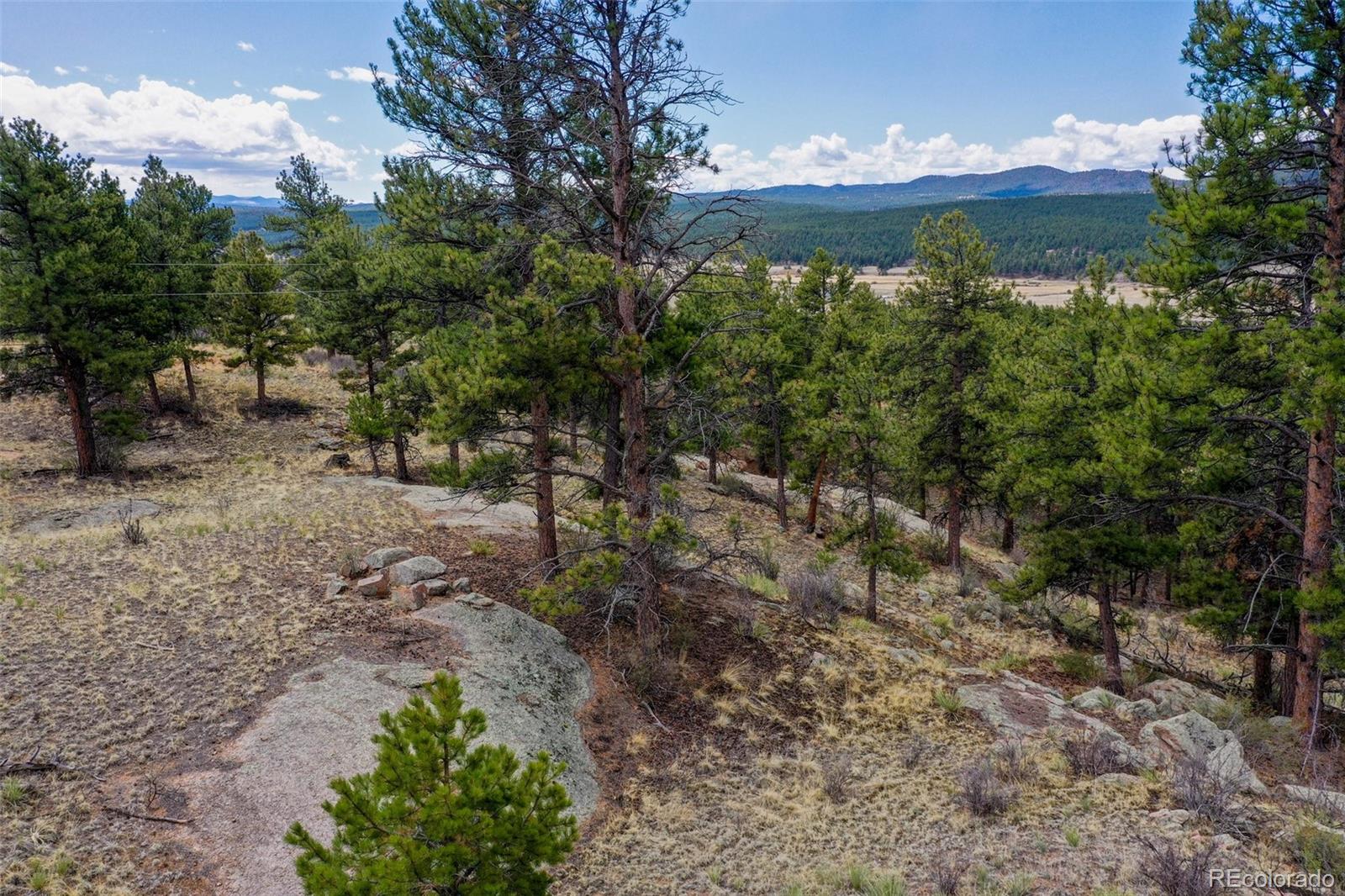 MLS Image #43 for 39609  us highway 24 ,lake george, Colorado