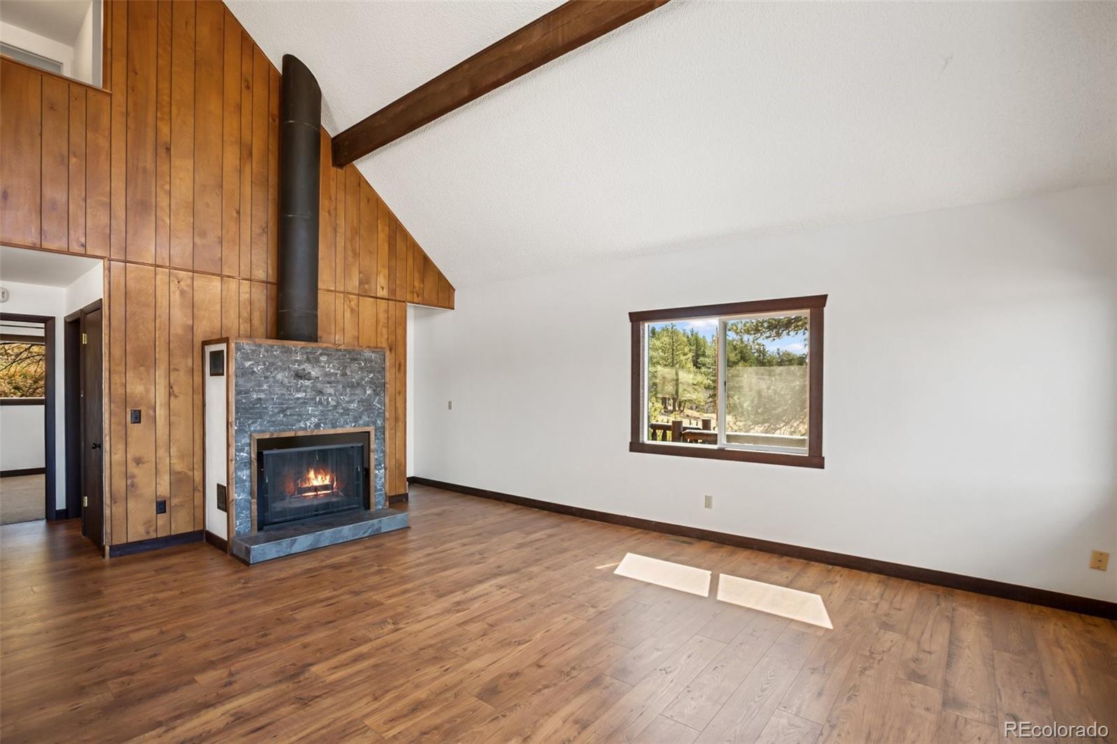 MLS Image #8 for 39609  us highway 24 ,lake george, Colorado