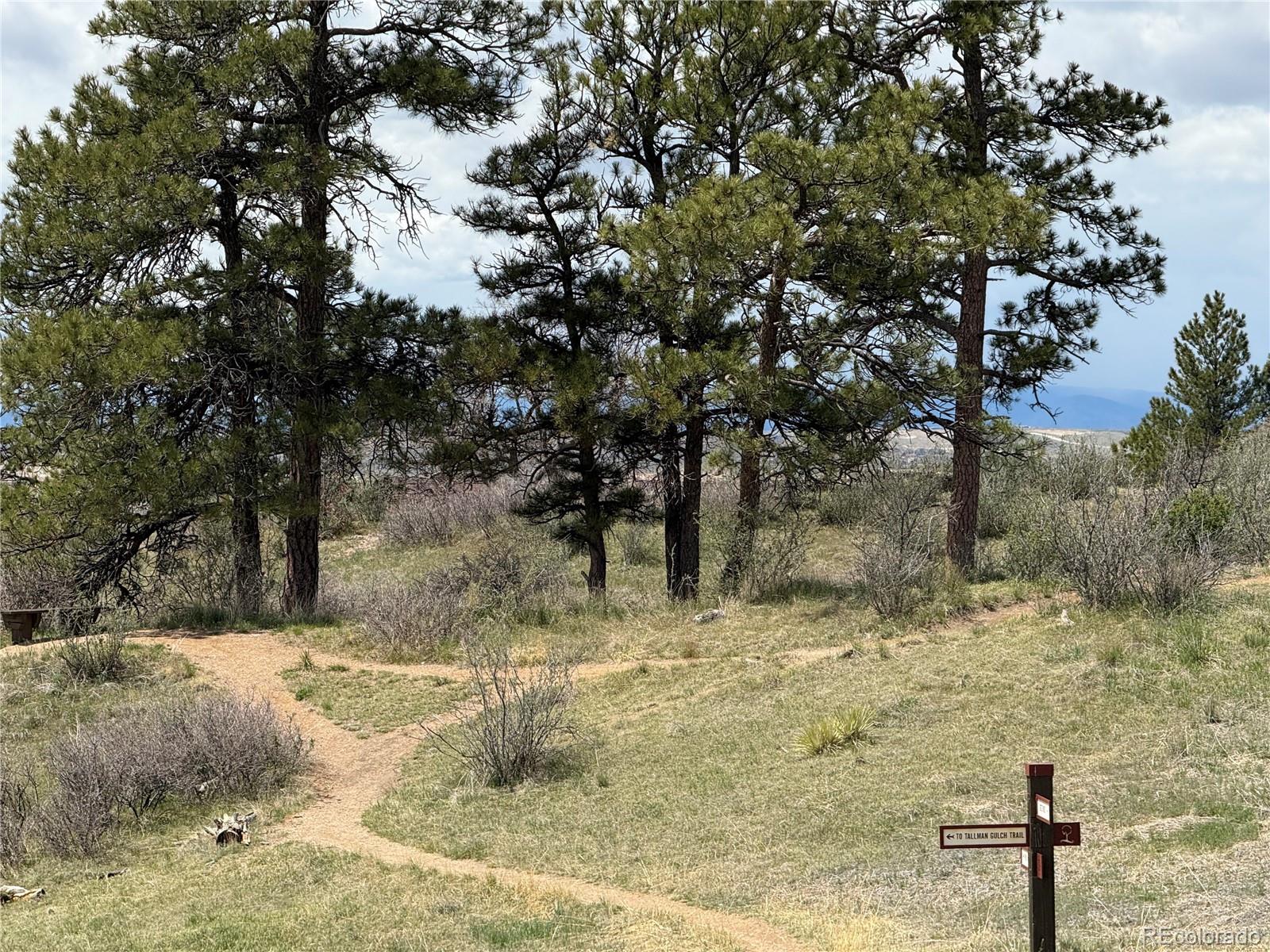MLS Image #44 for 22268 e hidden trail drive,parker, Colorado