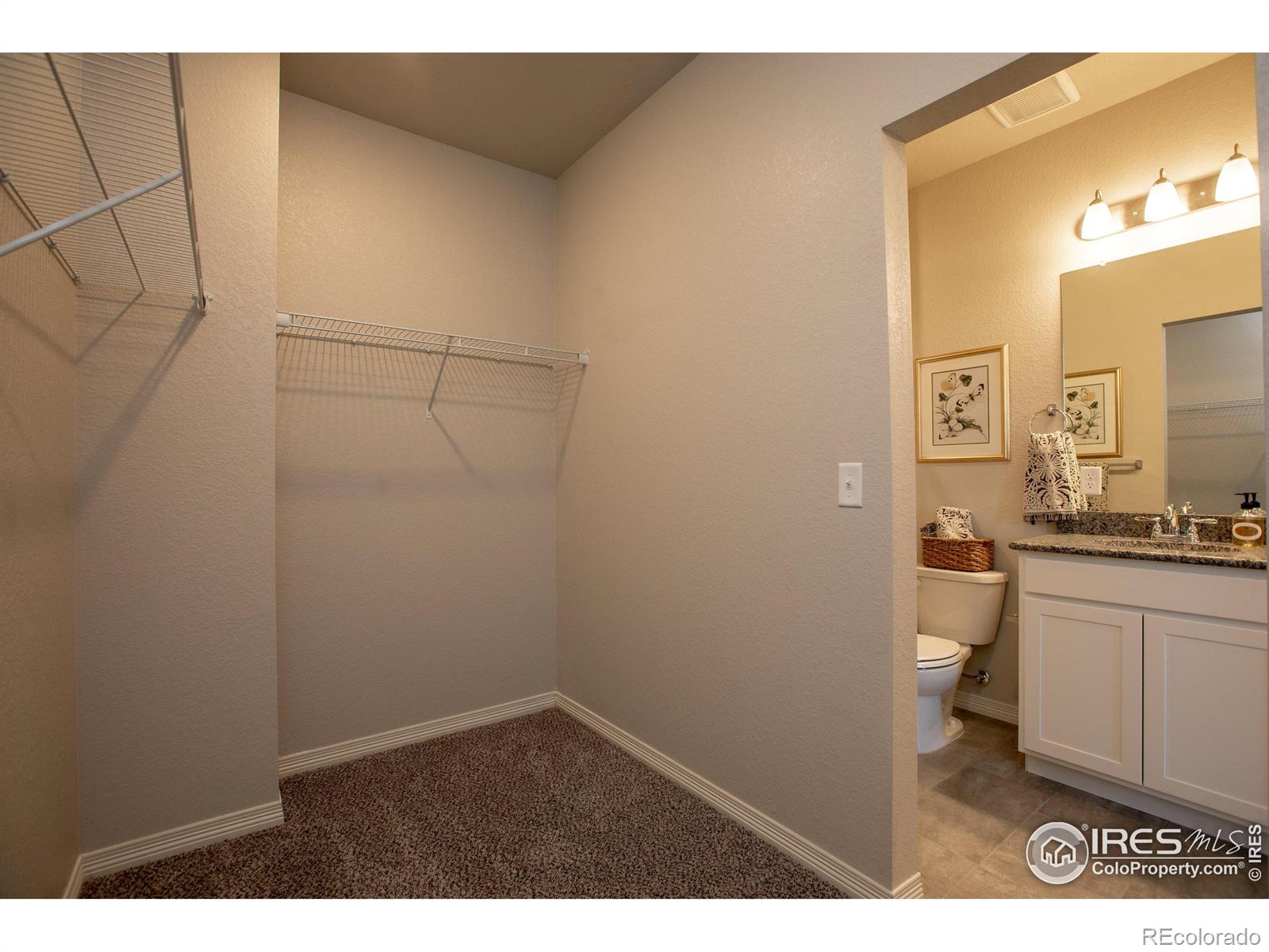 MLS Image #10 for 3051  county fair lane,fort collins, Colorado