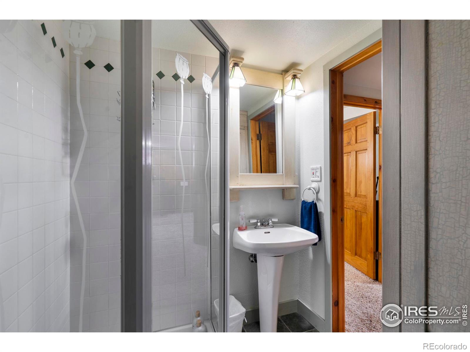 MLS Image #23 for 1021  charlotte street,johnstown, Colorado