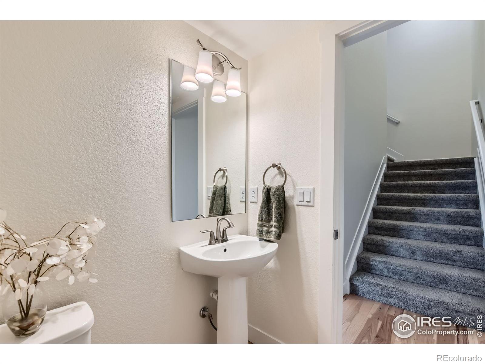 MLS Image #25 for 799  robert street,longmont, Colorado