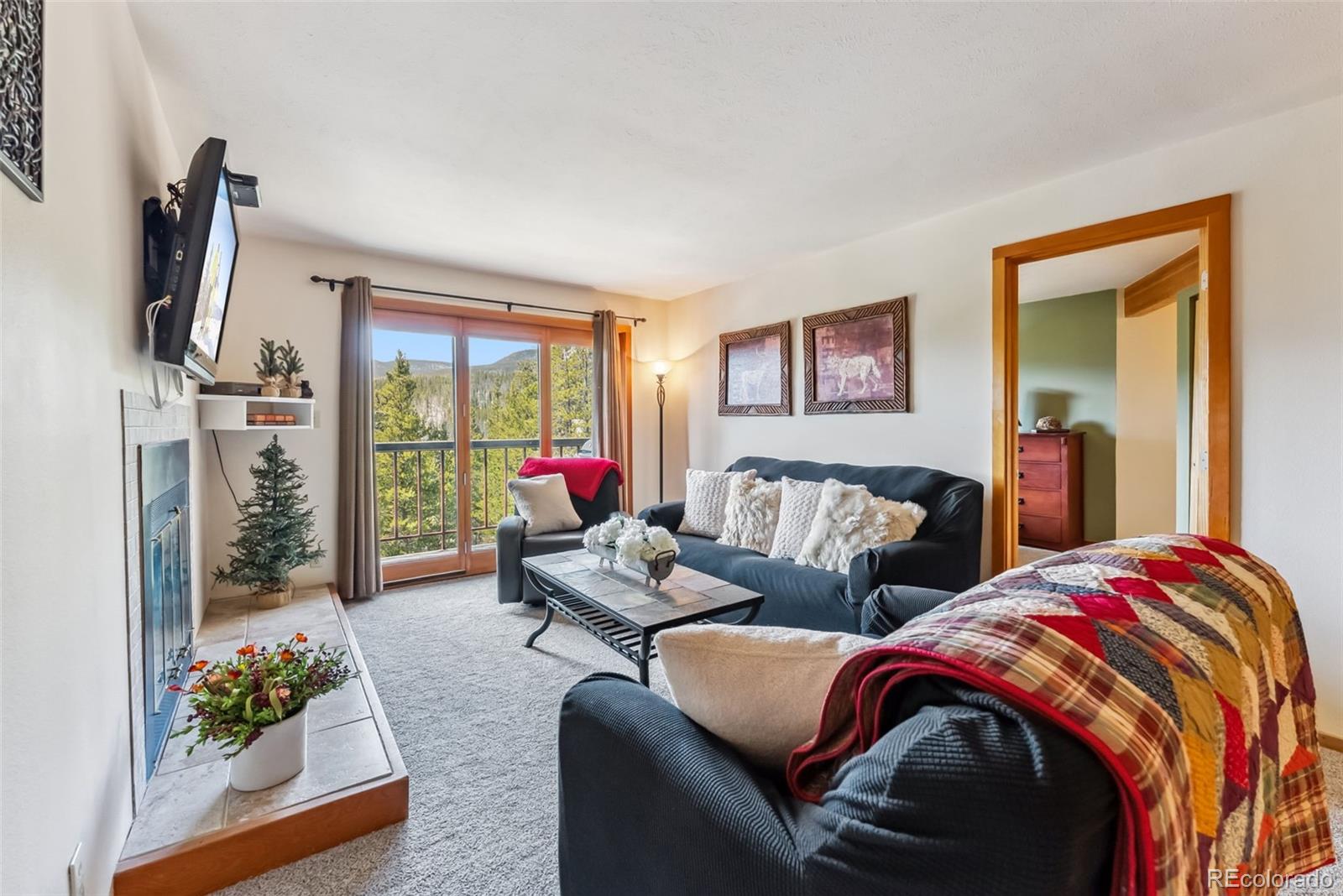 MLS Image #6 for 9460  ryan gulch road,silverthorne, Colorado