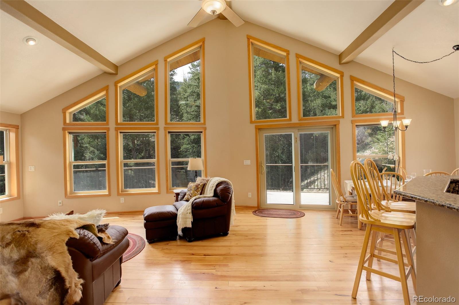 MLS Image #14 for 1353  elk valley drive,evergreen, Colorado