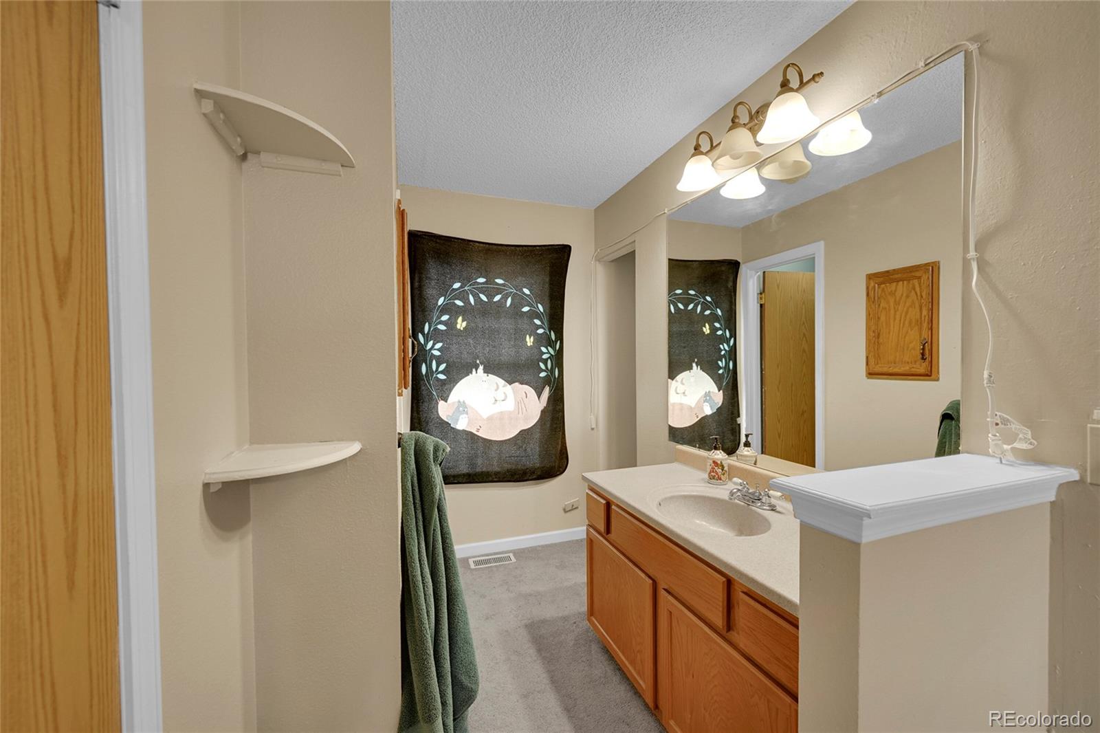 MLS Image #13 for 1662 s blackhawk way,aurora, Colorado
