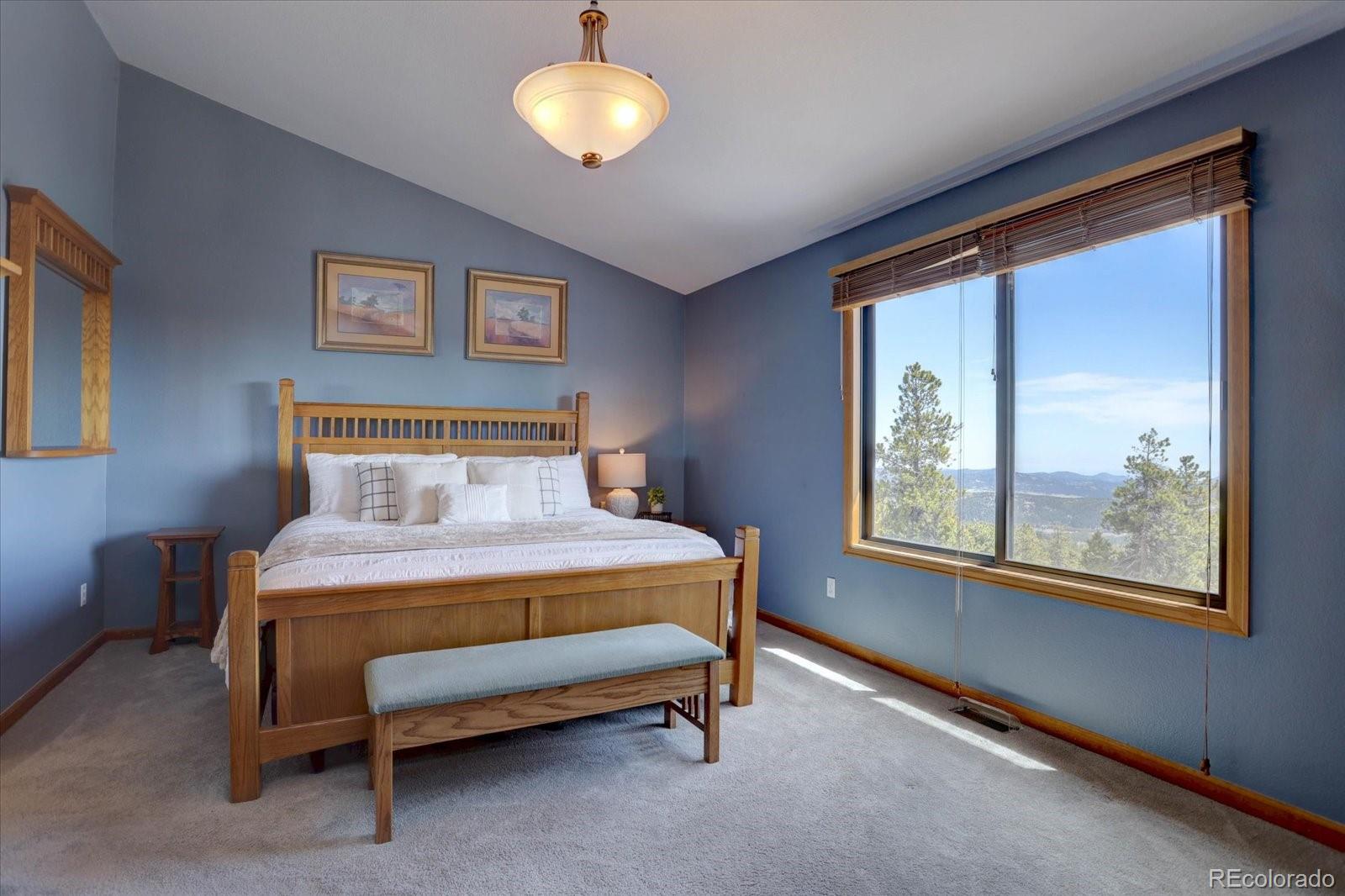 MLS Image #17 for 32091  black widow drive,conifer, Colorado