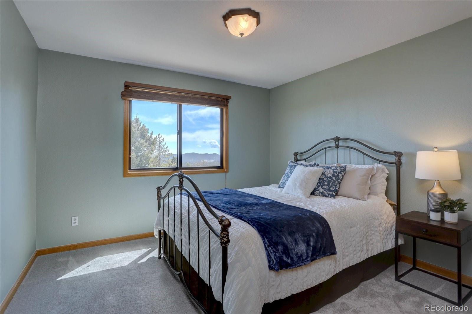 MLS Image #23 for 32091  black widow drive,conifer, Colorado
