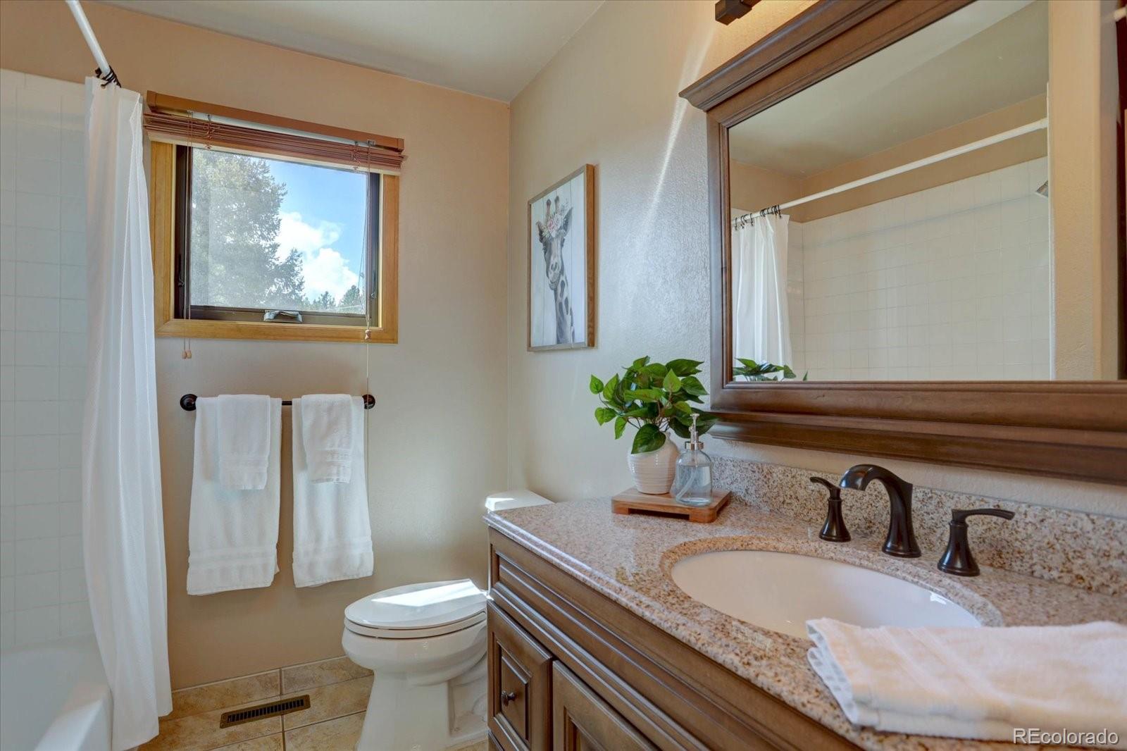 MLS Image #24 for 32091  black widow drive,conifer, Colorado