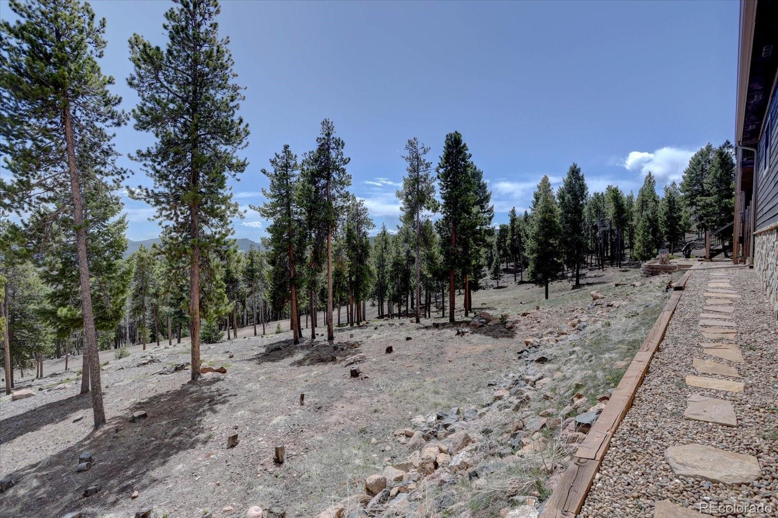 MLS Image #40 for 32091  black widow drive,conifer, Colorado