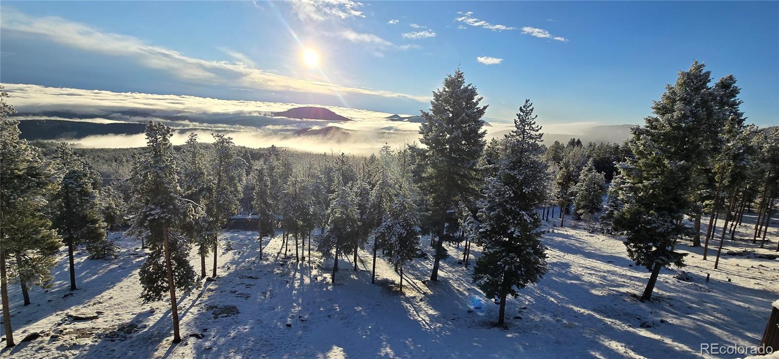 MLS Image #43 for 32091  black widow drive,conifer, Colorado