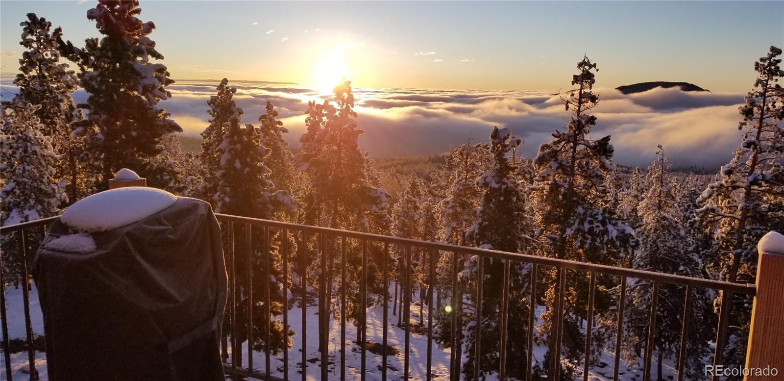 MLS Image #45 for 32091  black widow drive,conifer, Colorado