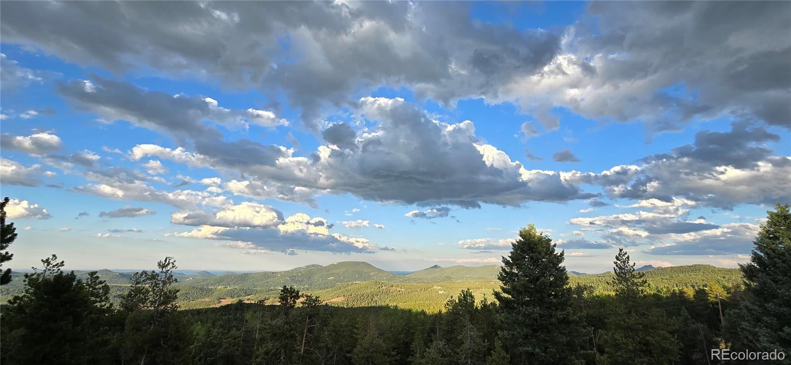 MLS Image #46 for 32091  black widow drive,conifer, Colorado