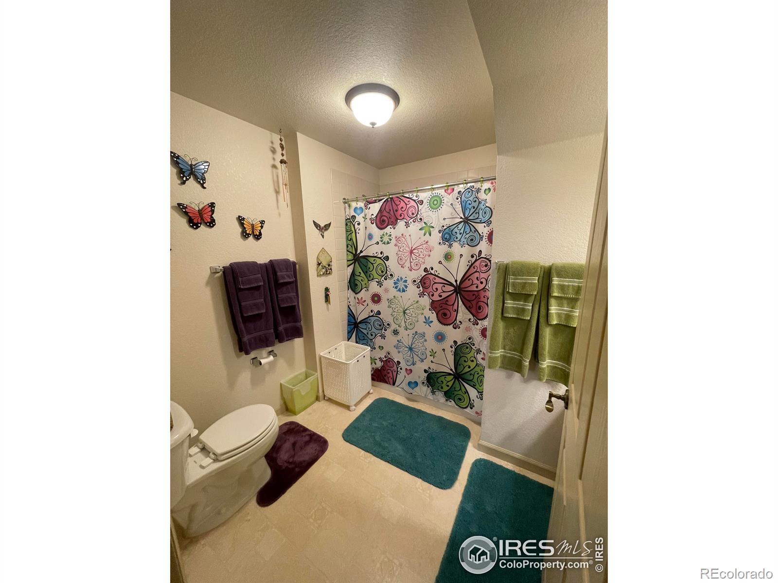 MLS Image #11 for 1749  wildfire road,estes park, Colorado