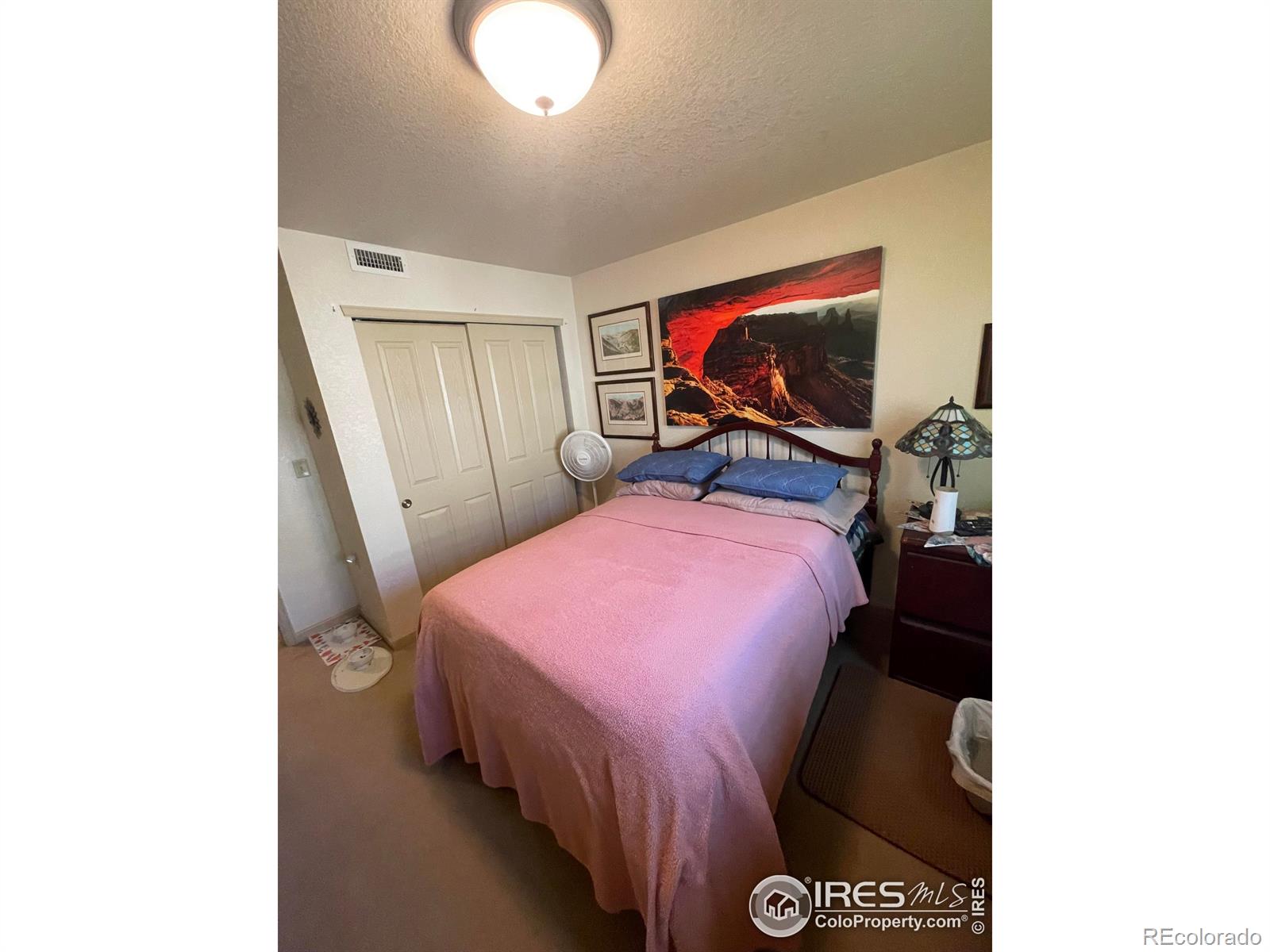 MLS Image #14 for 1749  wildfire road,estes park, Colorado