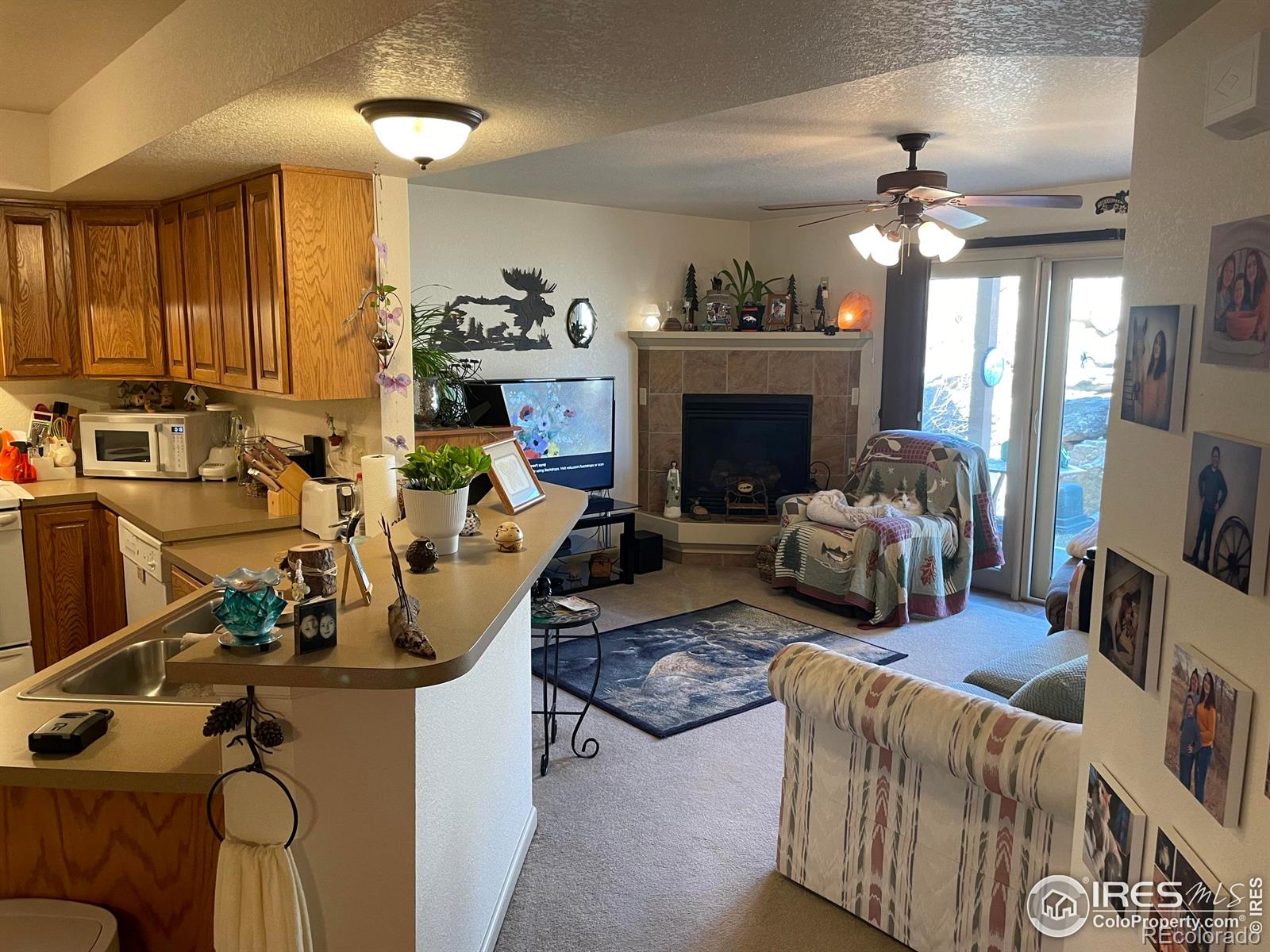 MLS Image #3 for 1749  wildfire road,estes park, Colorado