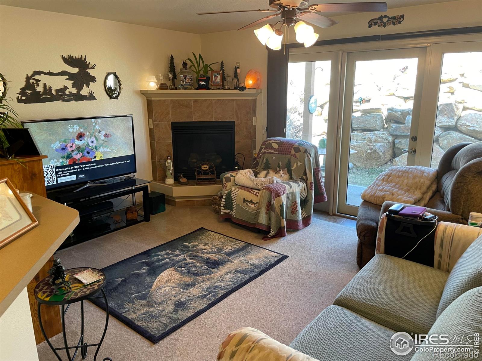 MLS Image #4 for 1749  wildfire road,estes park, Colorado