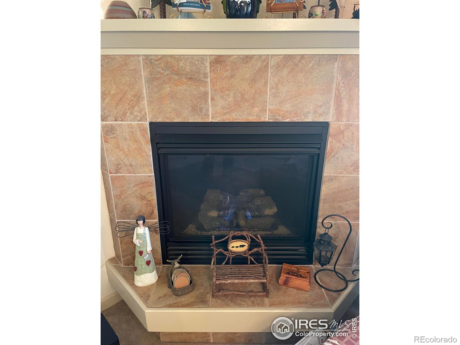 MLS Image #5 for 1749  wildfire road,estes park, Colorado