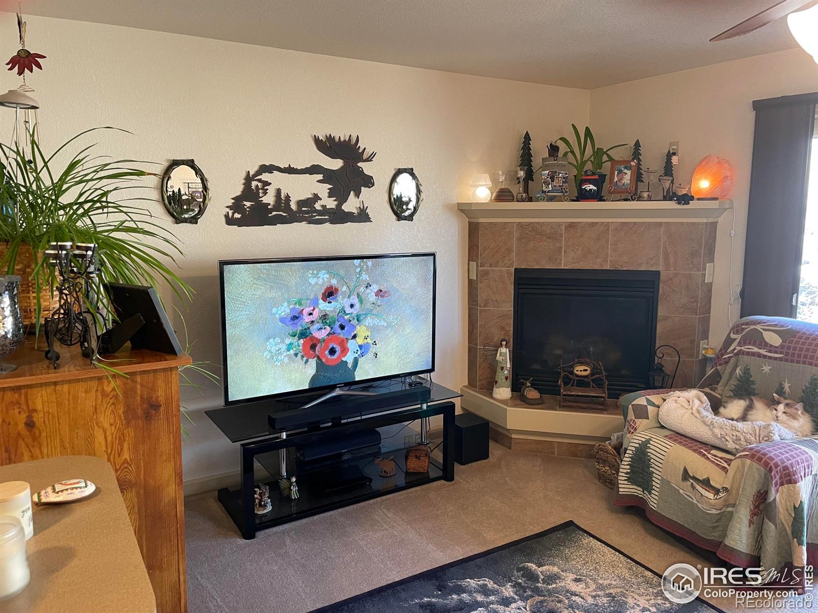 MLS Image #6 for 1749  wildfire road,estes park, Colorado