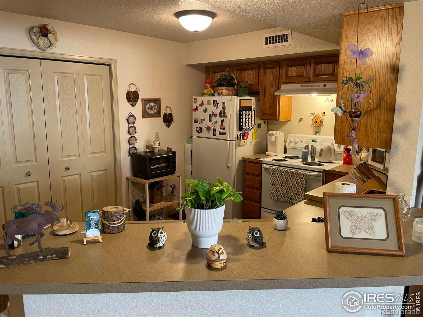 MLS Image #9 for 1749  wildfire road,estes park, Colorado