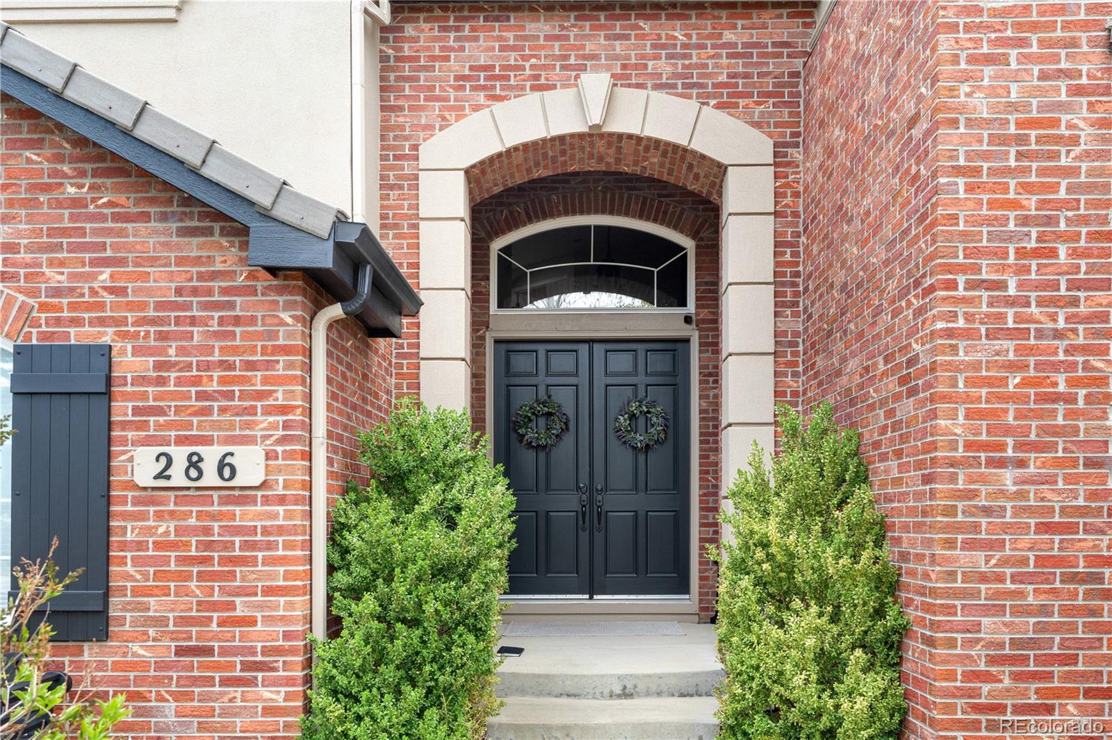 MLS Image #1 for 286  claymoor court,castle pines, Colorado