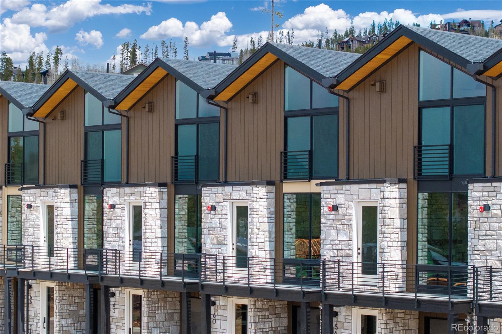 MLS Image #37 for 60  wheeler road,winter park, Colorado