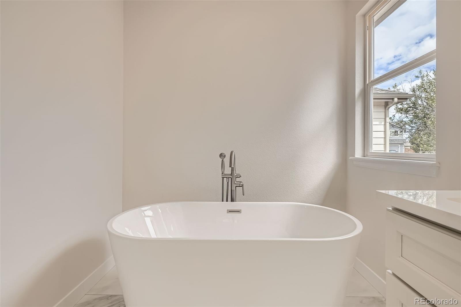 MLS Image #13 for 15870  duckweed court,parker, Colorado