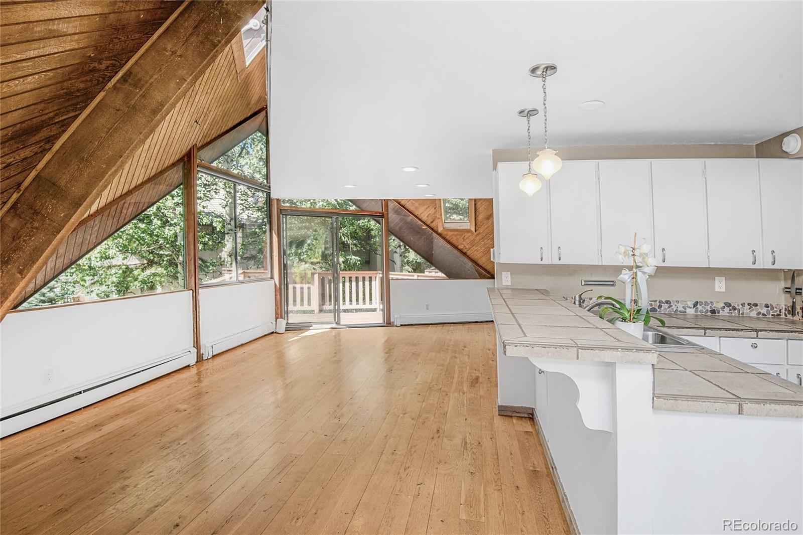 MLS Image #24 for 1400  lions ridge loop,vail, Colorado