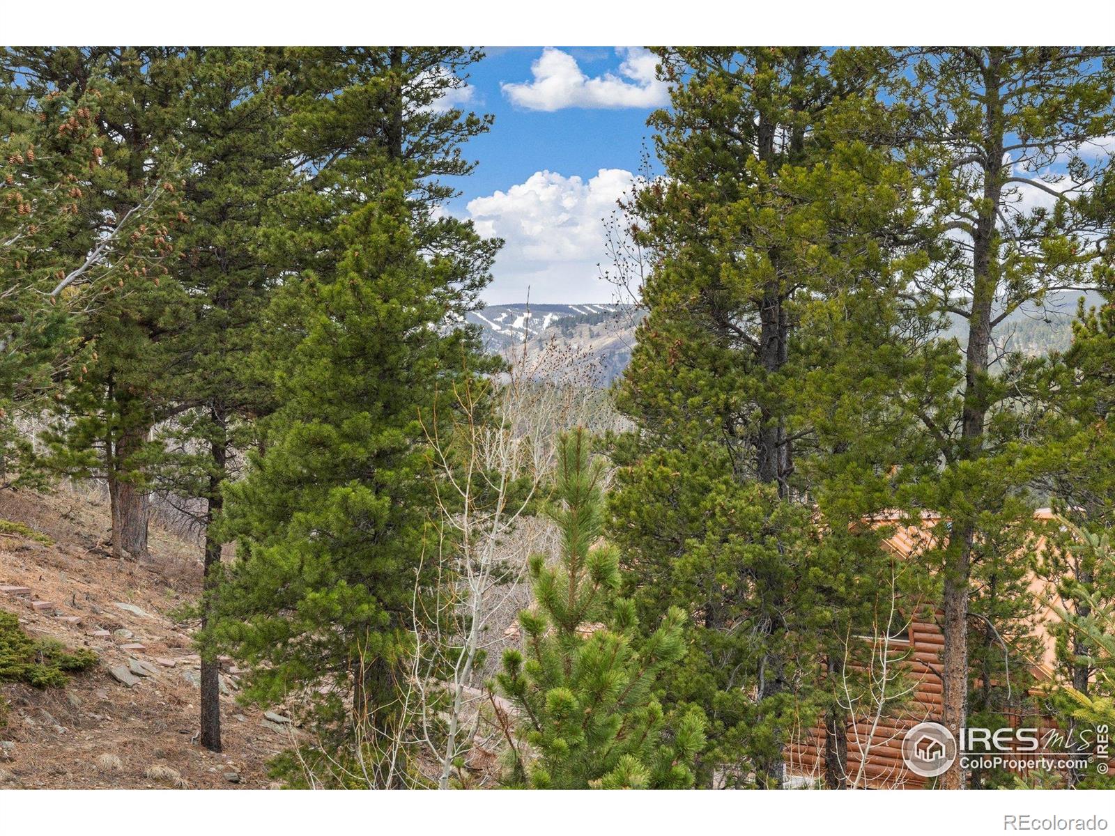 MLS Image #13 for 139  ponderosa drive,nederland, Colorado