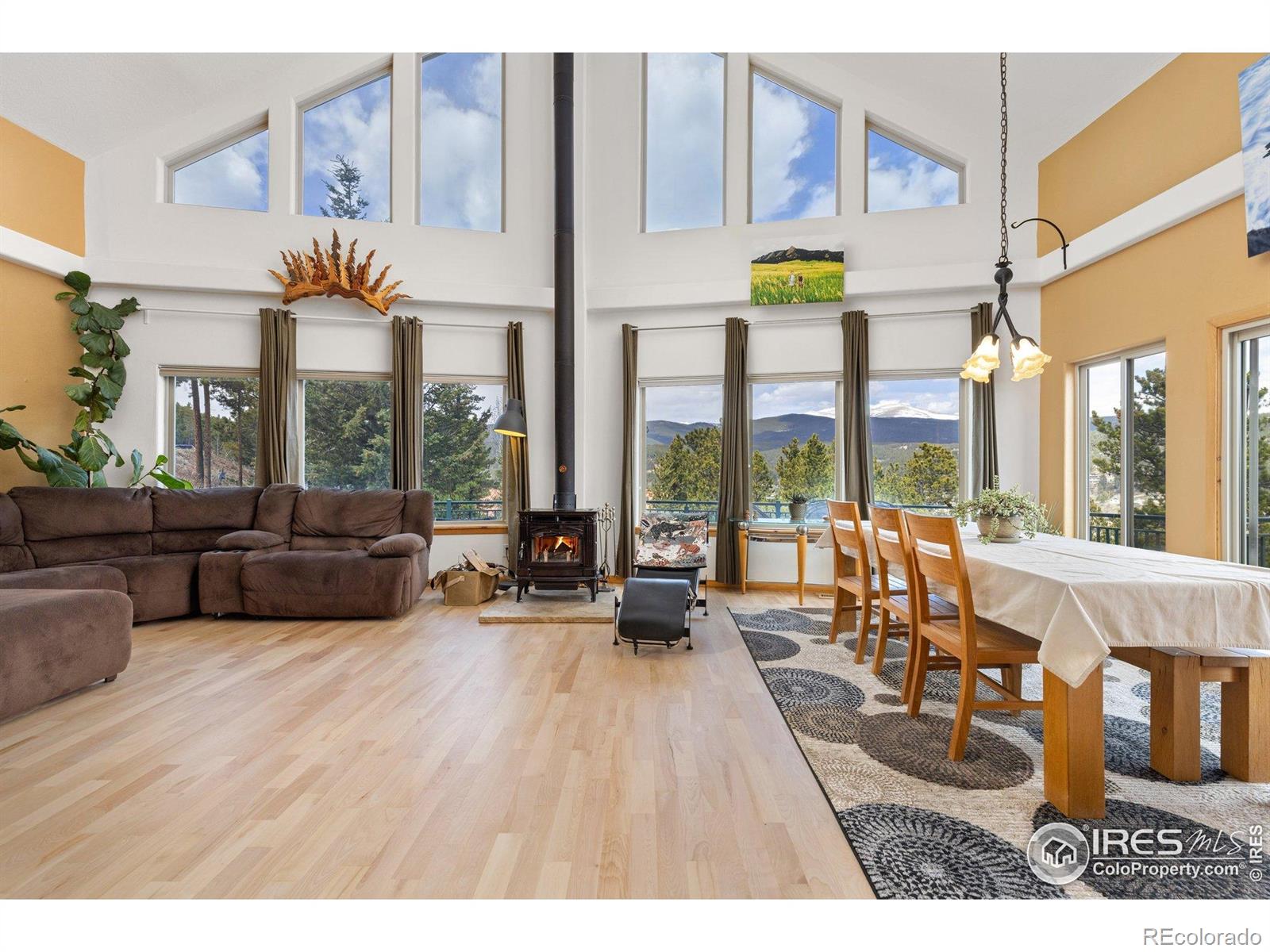 MLS Image #15 for 139  ponderosa drive,nederland, Colorado