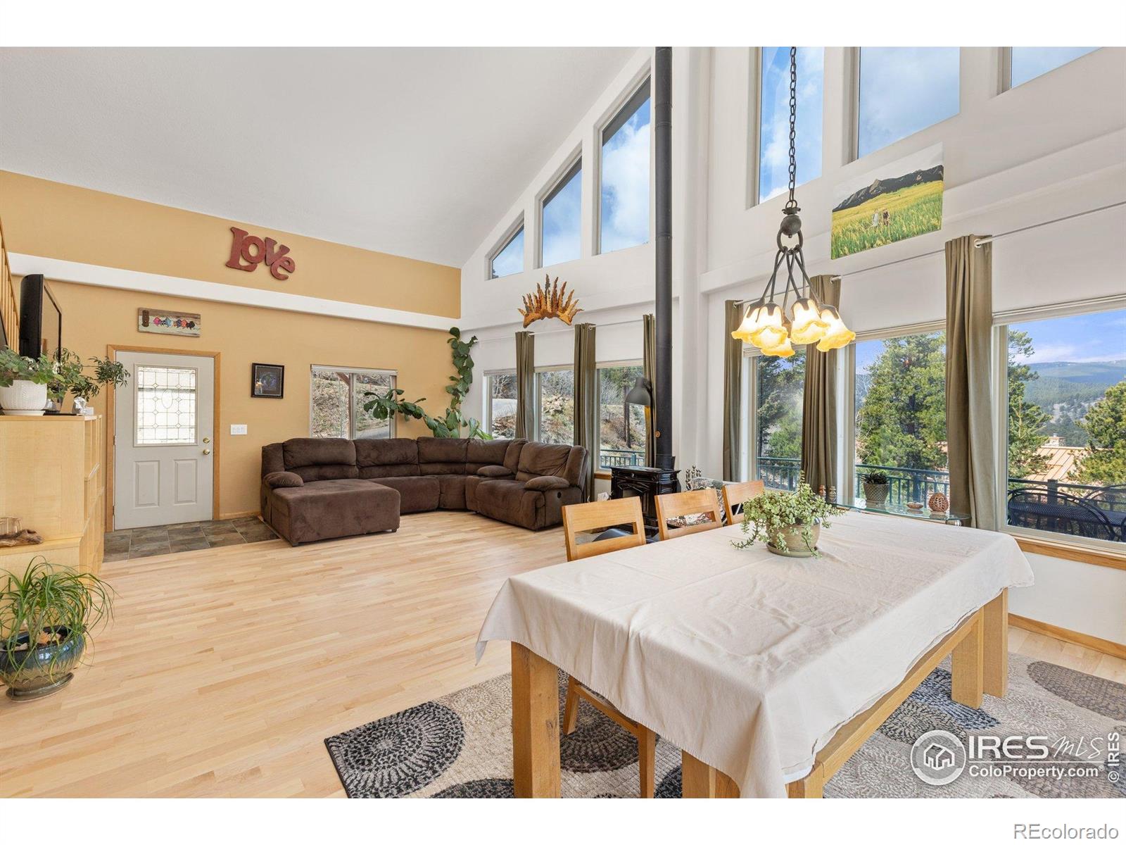 MLS Image #16 for 139  ponderosa drive,nederland, Colorado