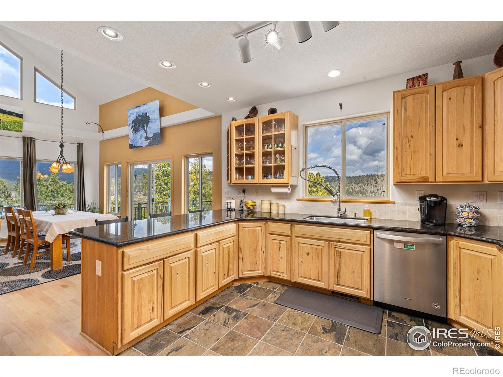 MLS Image #19 for 139  ponderosa drive,nederland, Colorado