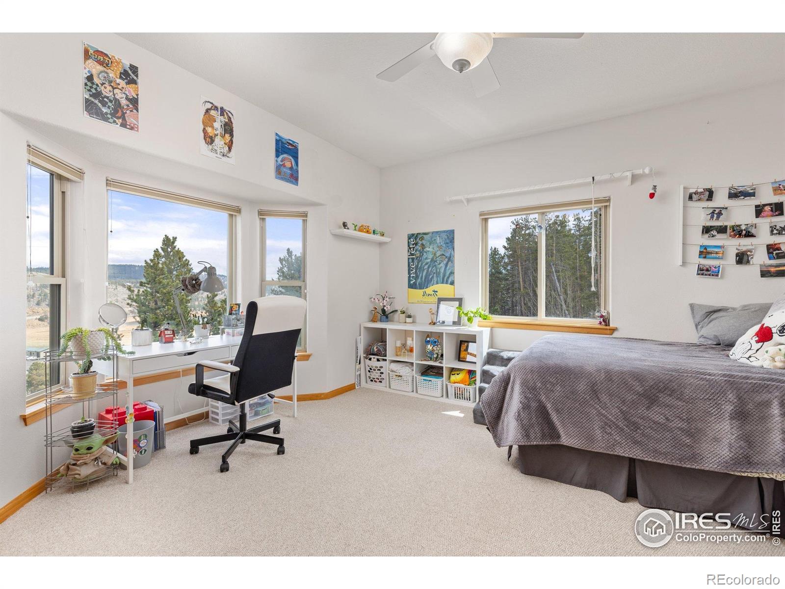 MLS Image #20 for 139  ponderosa drive,nederland, Colorado