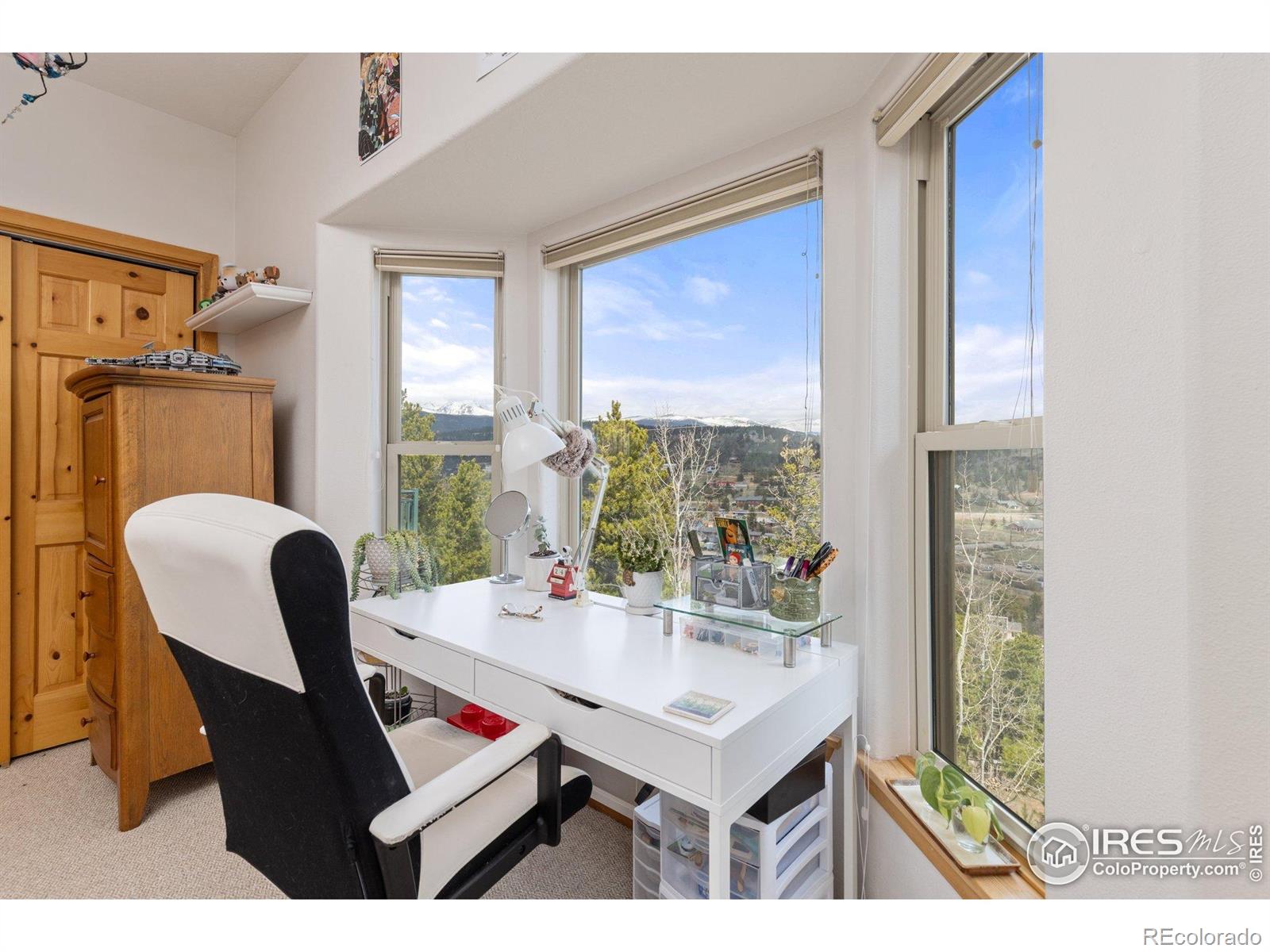 MLS Image #21 for 139  ponderosa drive,nederland, Colorado